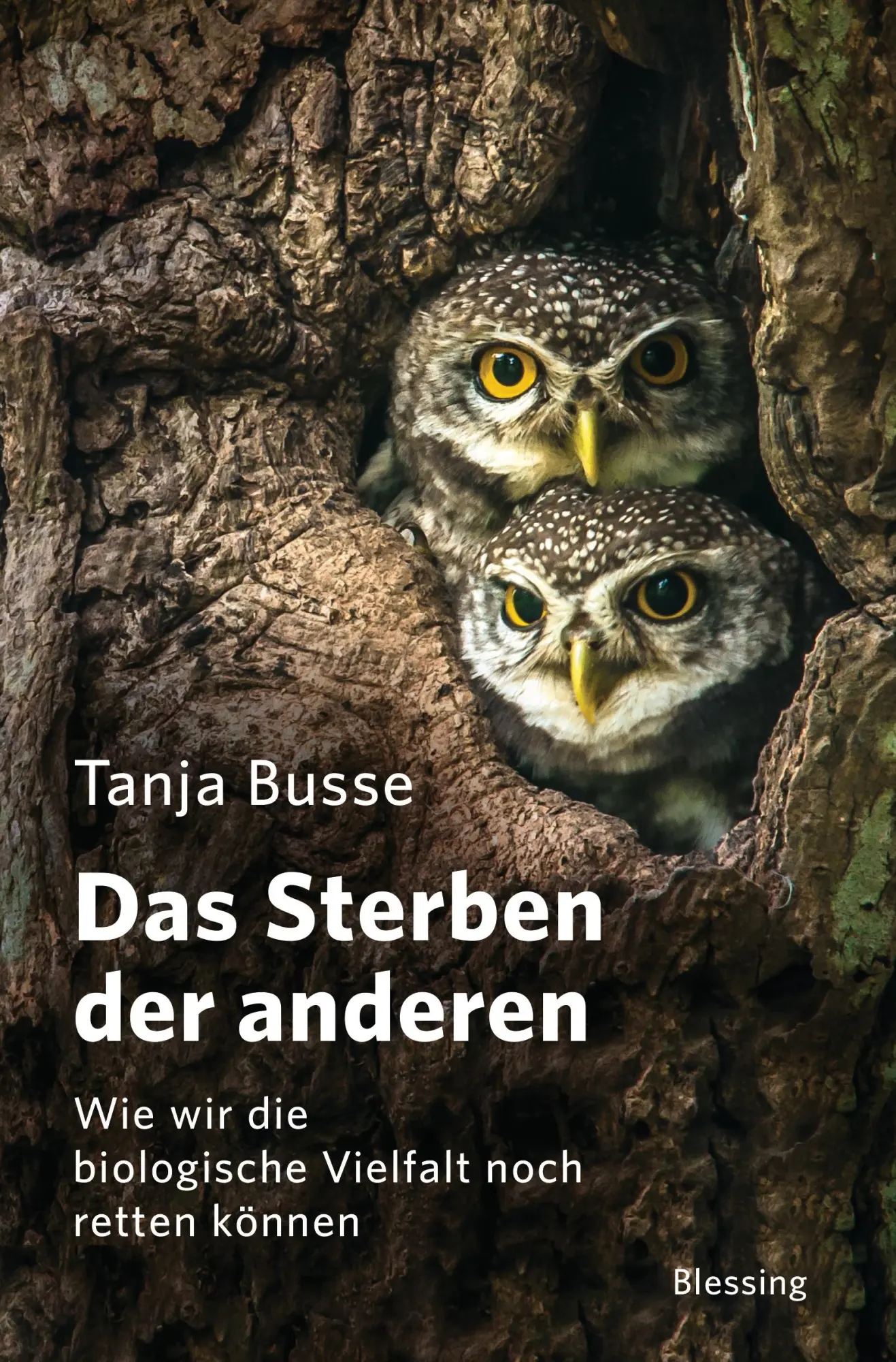 Cover: 9783896675927 | Das Sterben der anderen | Tanja Busse | Taschenbuch | 416 S. | Deutsch