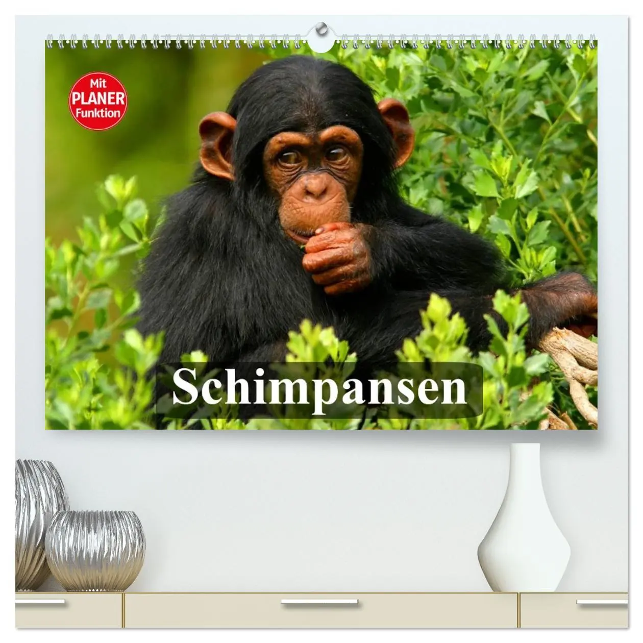 Cover: 9783457996027 | Schimpansen (hochwertiger Premium Wandkalender 2026 DIN A2 quer),...