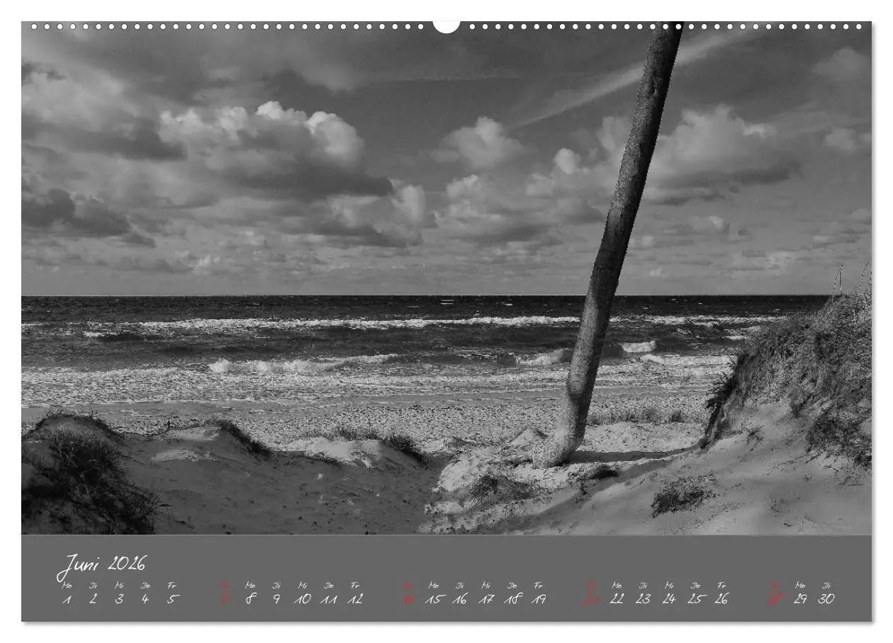 Bild: 9783516226027 | Wege zum Meer (Wandkalender 2026 DIN A2 quer), CALVENDO Monatskalender