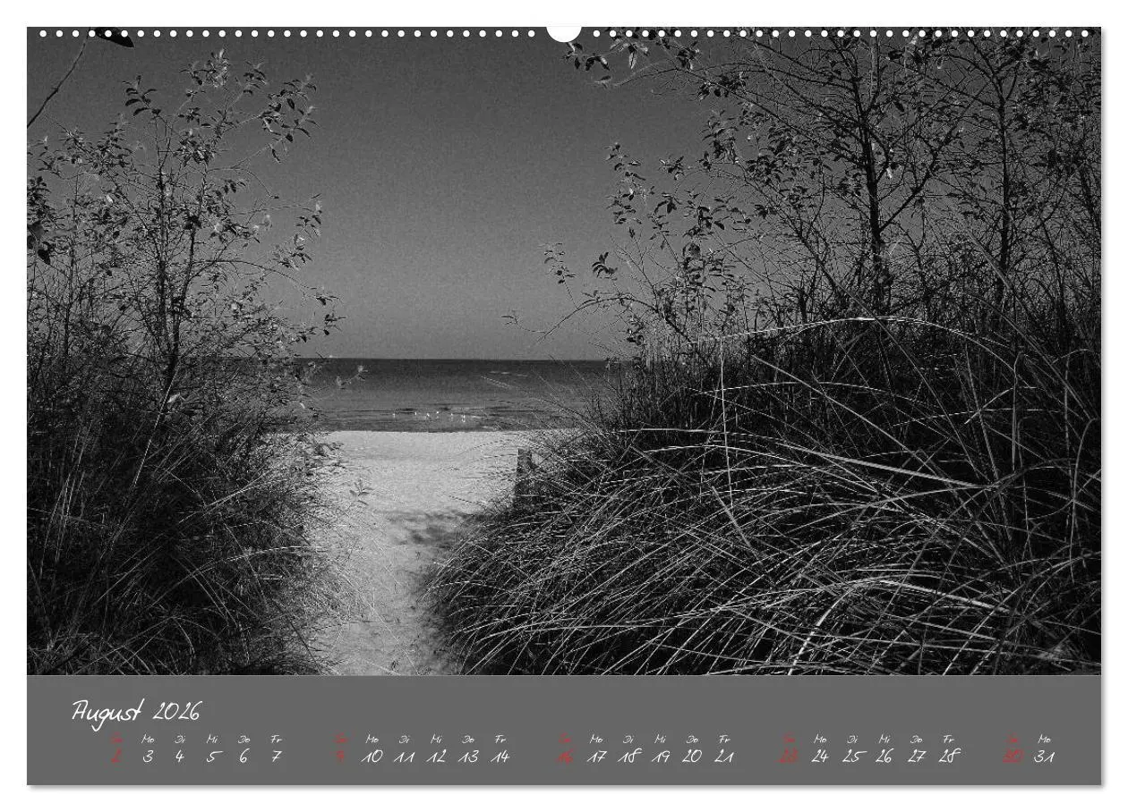 Bild: 9783516226027 | Wege zum Meer (Wandkalender 2026 DIN A2 quer), CALVENDO Monatskalender
