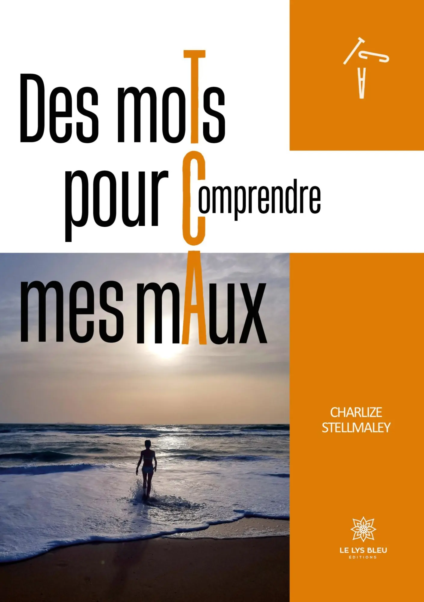 Cover: 9791042276027 | Des moTs pour Comprendre mes mAux | Charlize Stellmaley | Taschenbuch