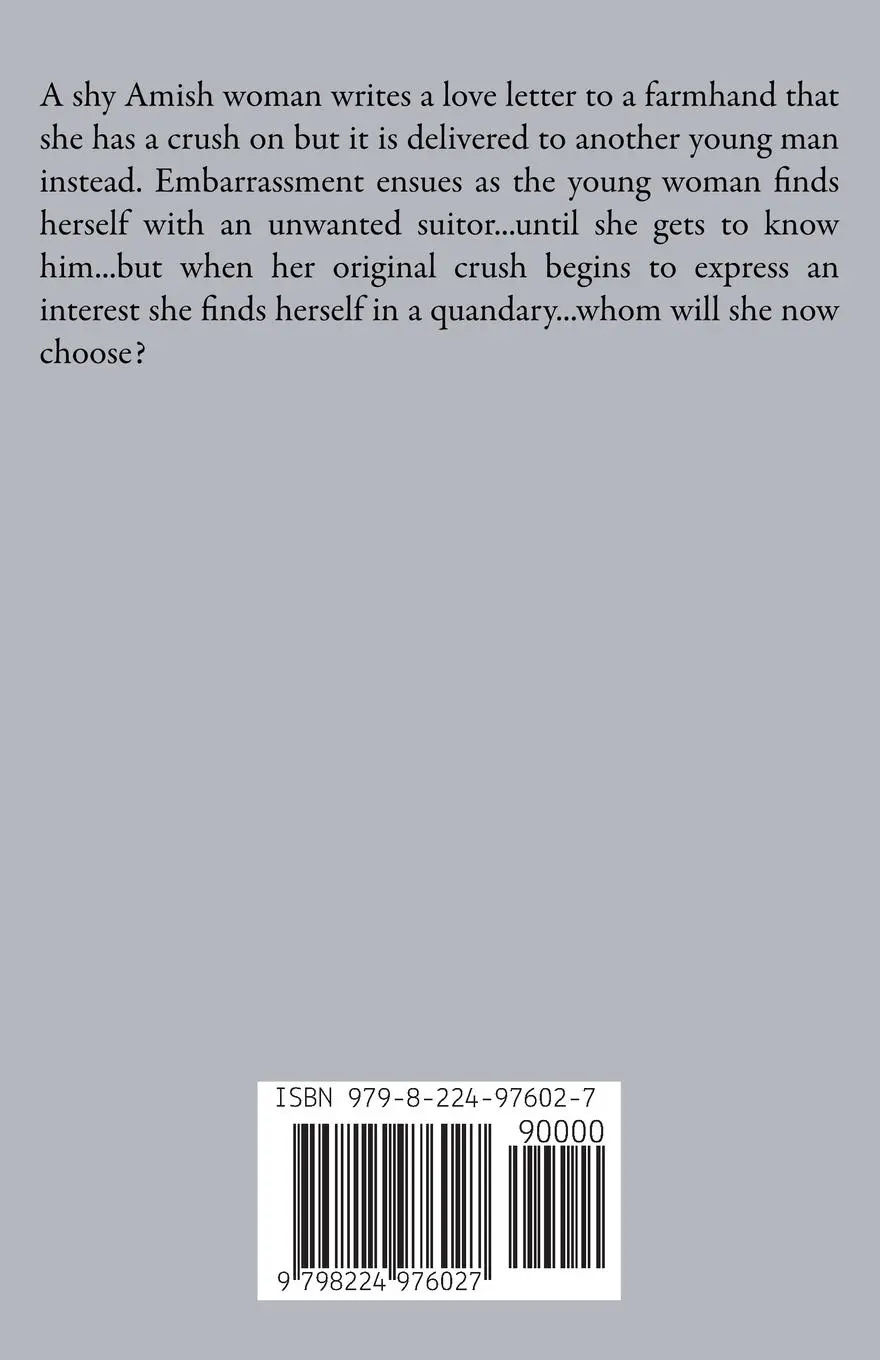 Rückseite: 9798224976027 | Sojourners Hollow An Anthology of Amish Romance | Janet Coburn | Buch