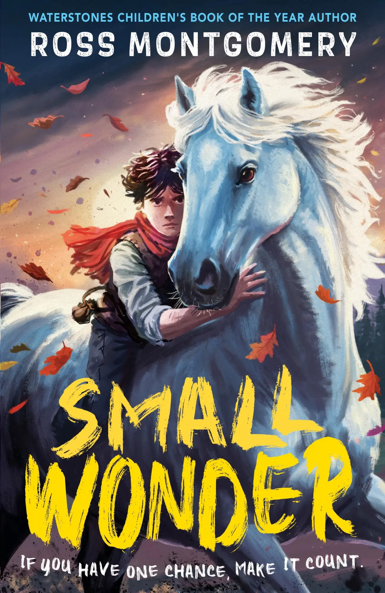 Cover: 9781529526127 | Small Wonder | Ross Montgomery | Taschenbuch | 288 S. | Englisch