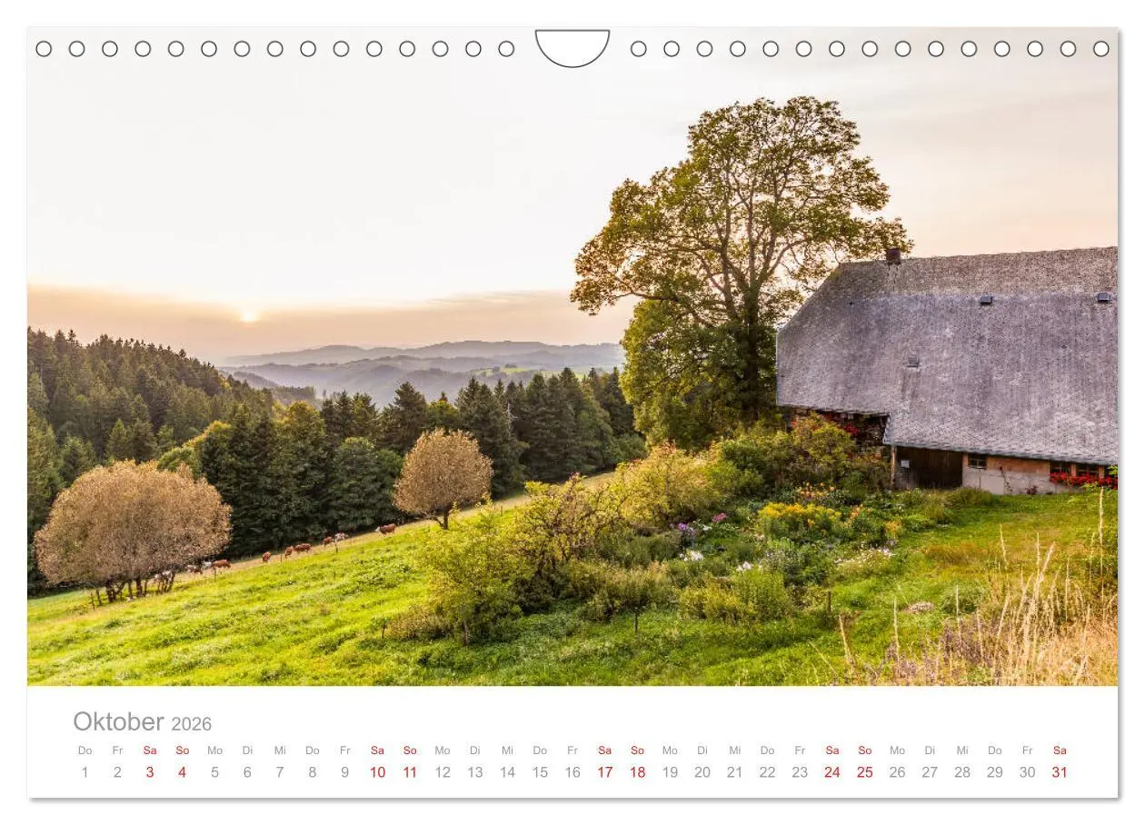 Bild: 9783457816127 | Der Schwarzwald Impressionen (Wandkalender 2026 DIN A4 quer),...