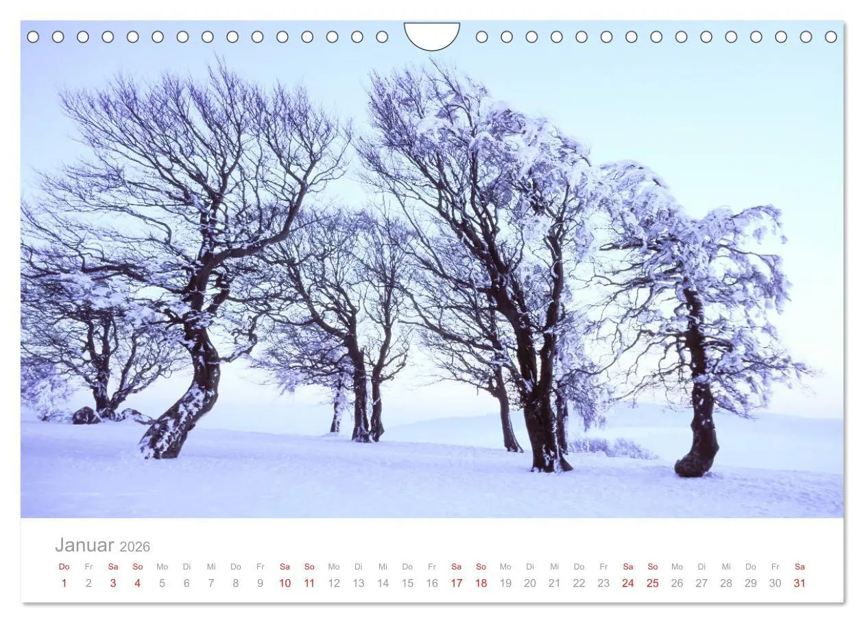 Bild: 9783457816127 | Der Schwarzwald Impressionen (Wandkalender 2026 DIN A4 quer),...
