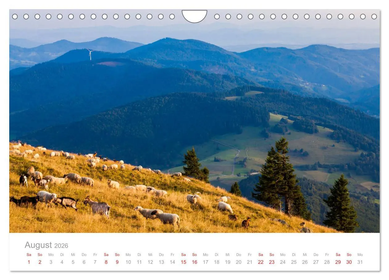 Bild: 9783457816127 | Der Schwarzwald Impressionen (Wandkalender 2026 DIN A4 quer),...