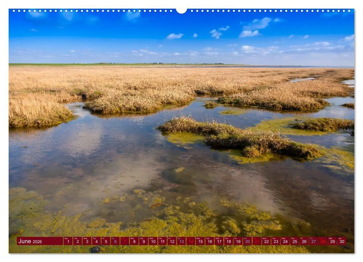 Bild: 9783516696127 | Scenic Denmark. Jutland and Copenhagen (Wall Calendar 2026 DIN A2...