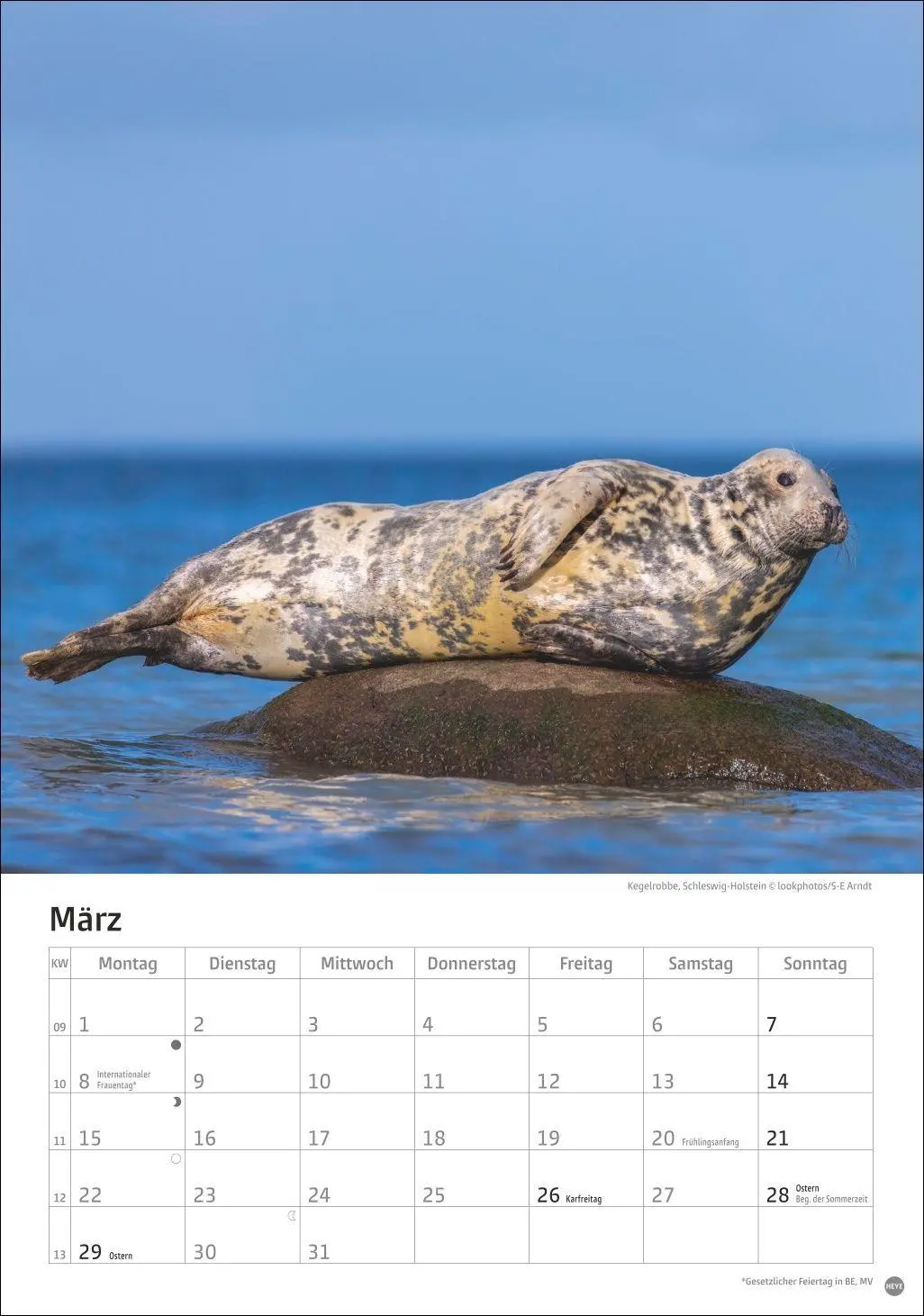 Bild: 9783756416127 | Deutschlands Küsten Kalender 2027 | Heye | Kalender | Spiralbindung