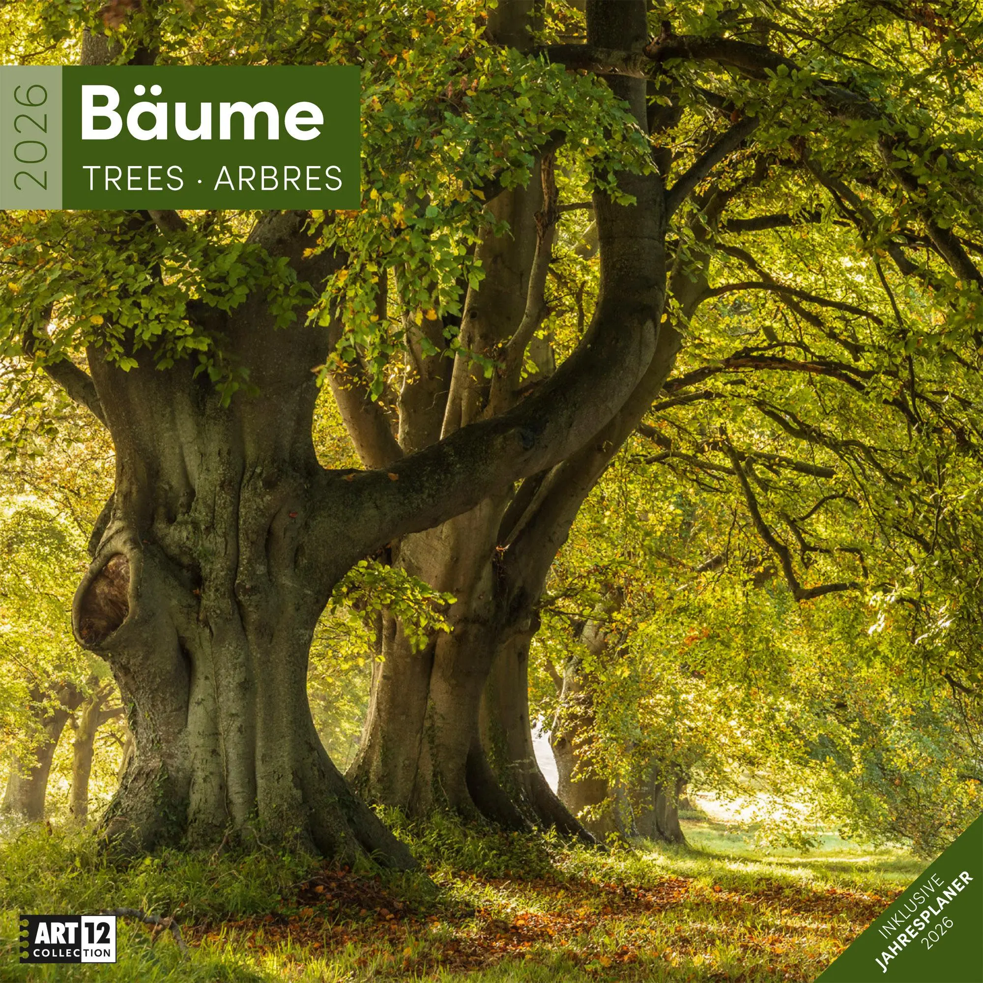 Cover: 9783838446127 | Bäume Broschürenkalender 2026 - 30x30 - Art12 | GmbH | Kalender | 2026