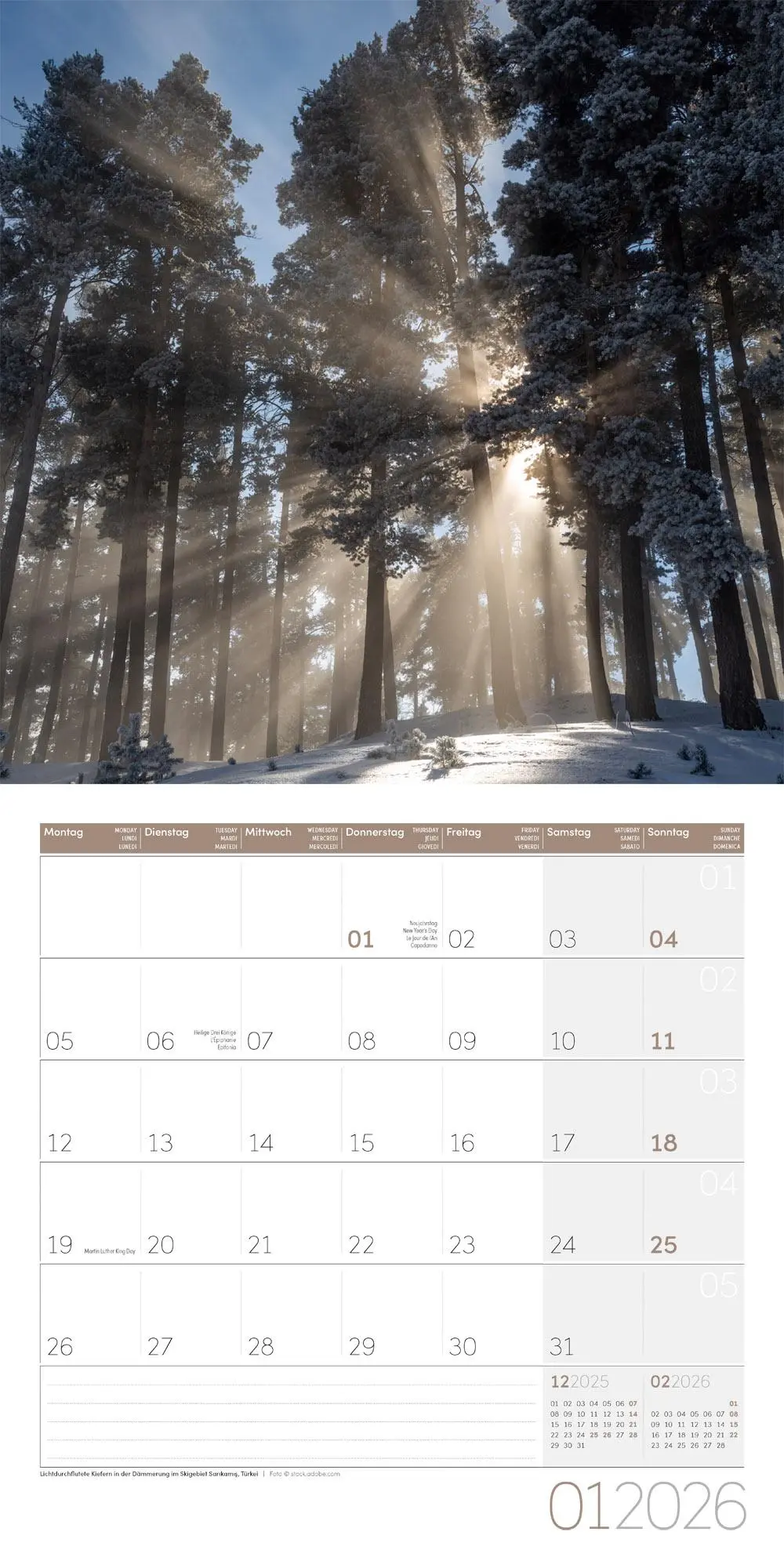 Bild: 9783838446127 | Bäume Broschürenkalender 2026 - 30x30 - Art12 | GmbH | Kalender | 2026