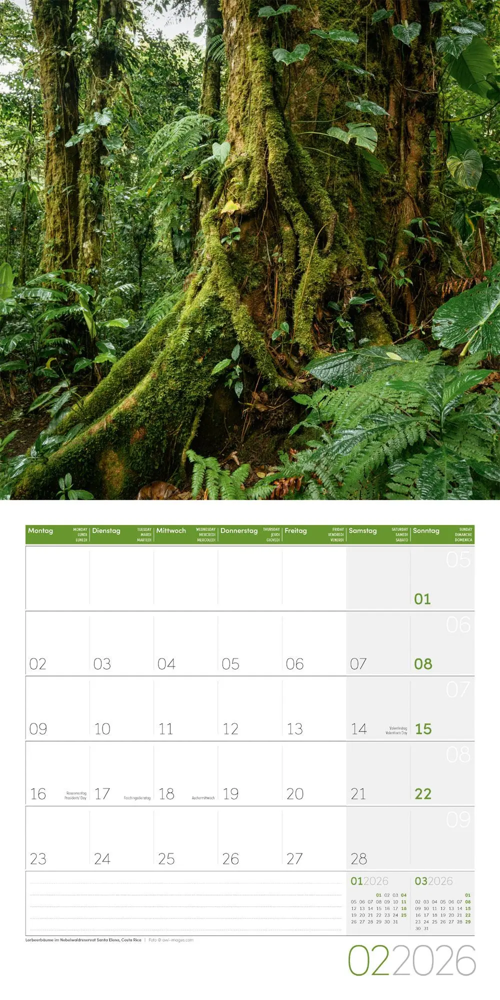 Bild: 9783838446127 | Bäume Broschürenkalender 2026 - 30x30 - Art12 | GmbH | Kalender | 2026