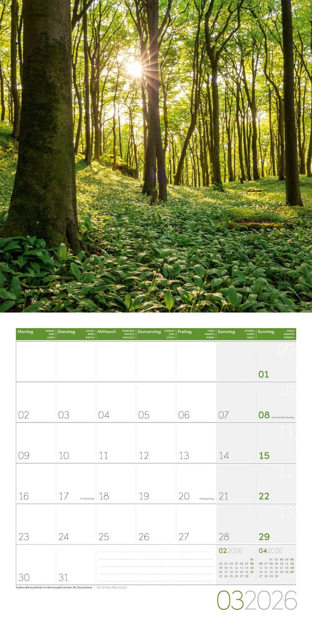 Bild: 9783838446127 | Bäume Broschürenkalender 2026 - 30x30 - Art12 | GmbH | Kalender | 2026