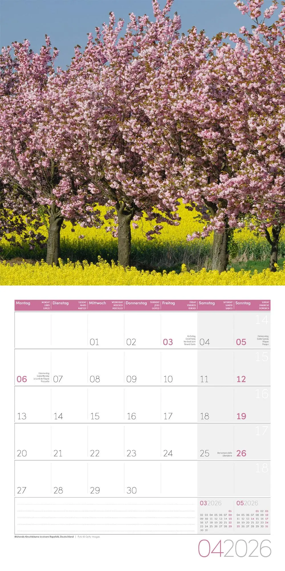 Bild: 9783838446127 | Bäume Broschürenkalender 2026 - 30x30 - Art12 | GmbH | Kalender | 2026