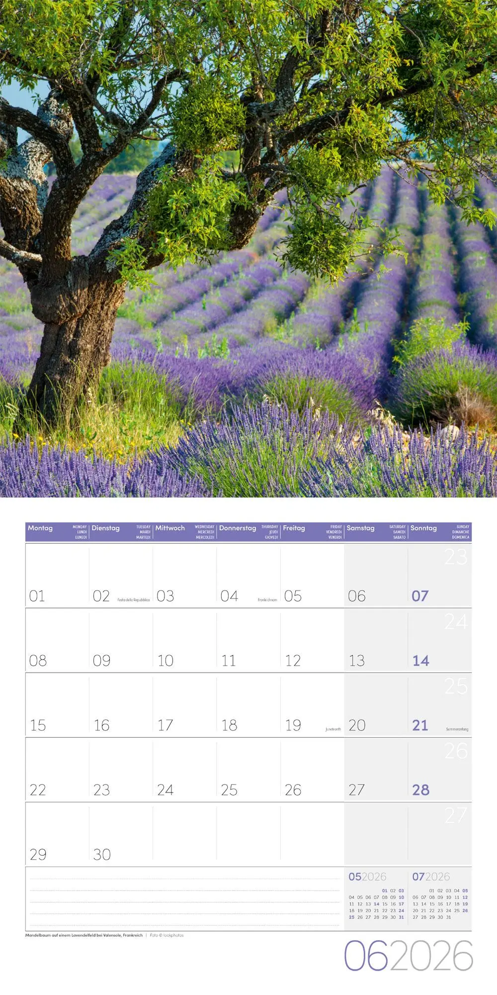 Bild: 9783838446127 | Bäume Broschürenkalender 2026 - 30x30 - Art12 | GmbH | Kalender | 2026