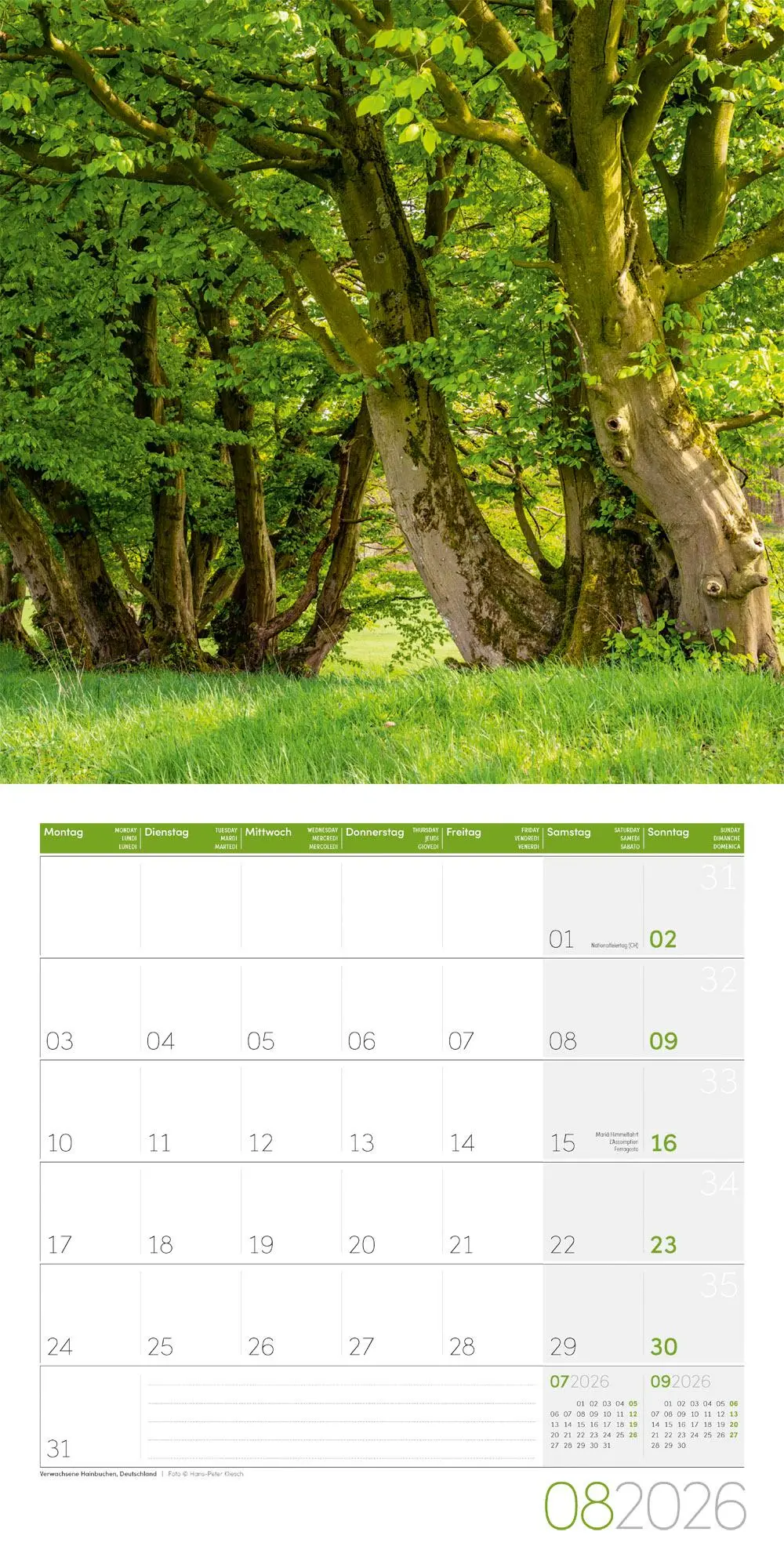 Bild: 9783838446127 | Bäume Broschürenkalender 2026 - 30x30 - Art12 | GmbH | Kalender | 2026