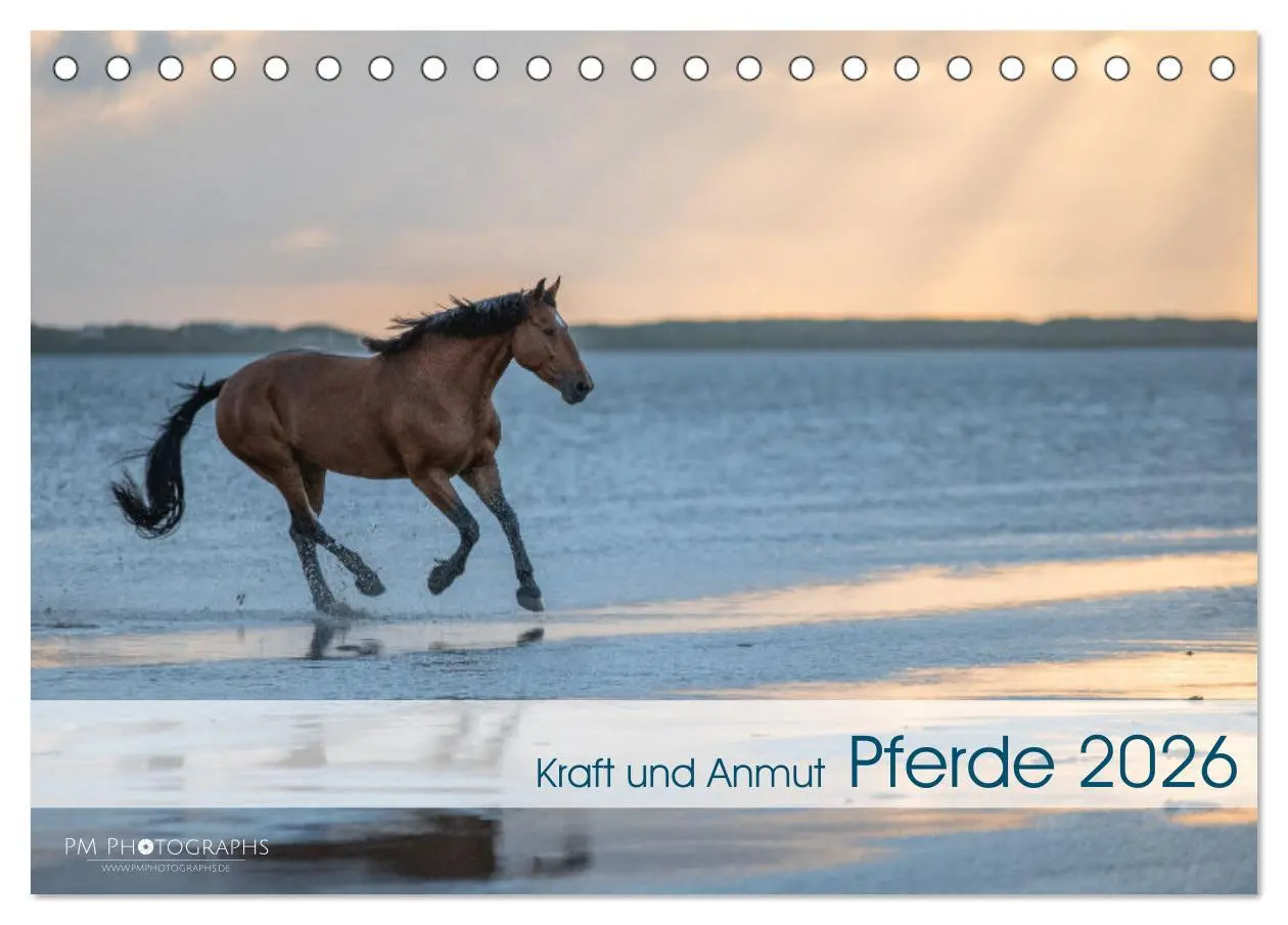 Cover: 9783457666227 | Pferde 2026 Kraft und Anmut (Tischkalender 2026 DIN A5 quer),...