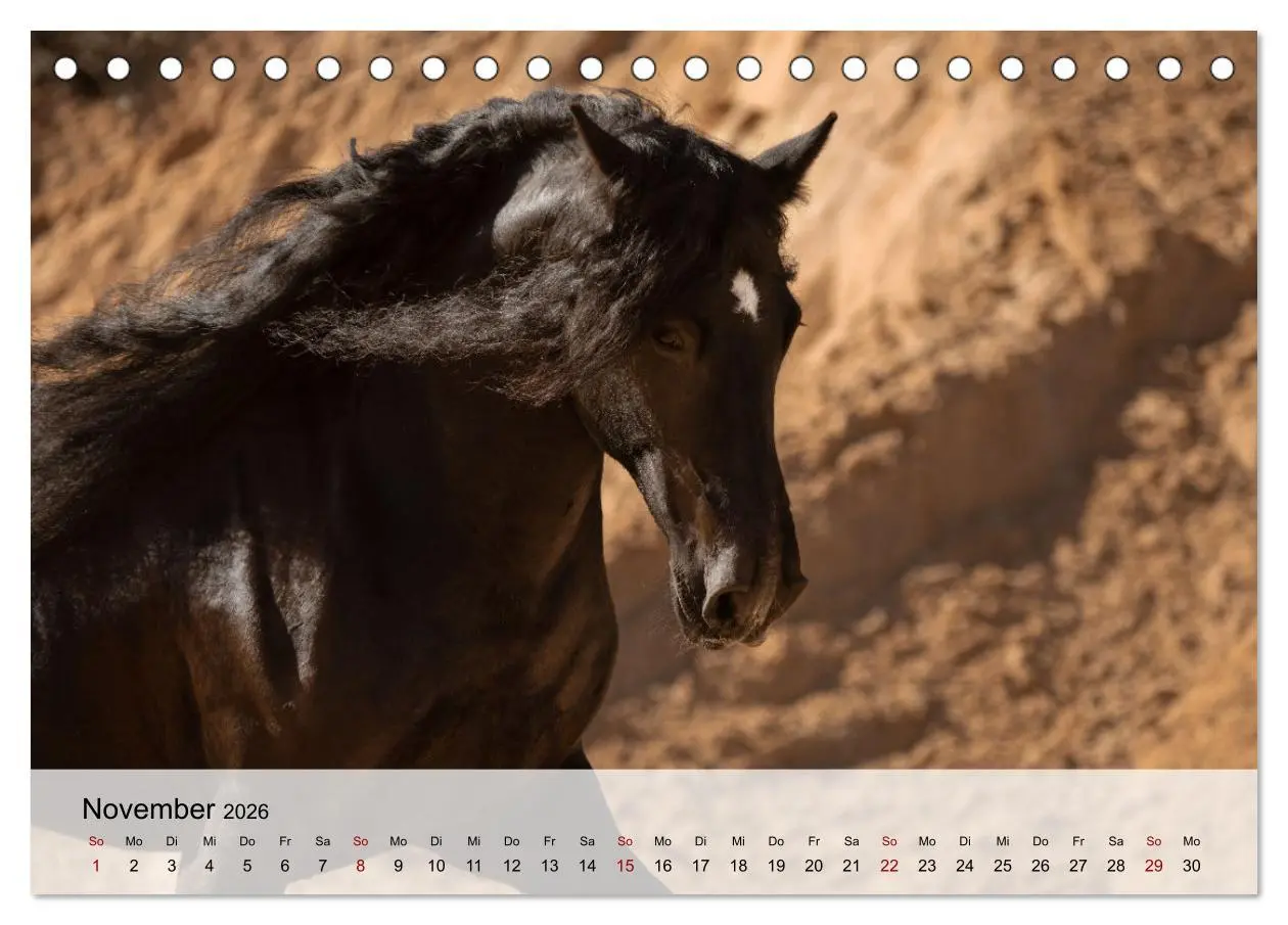 Bild: 9783457666227 | Pferde 2026 Kraft und Anmut (Tischkalender 2026 DIN A5 quer),...