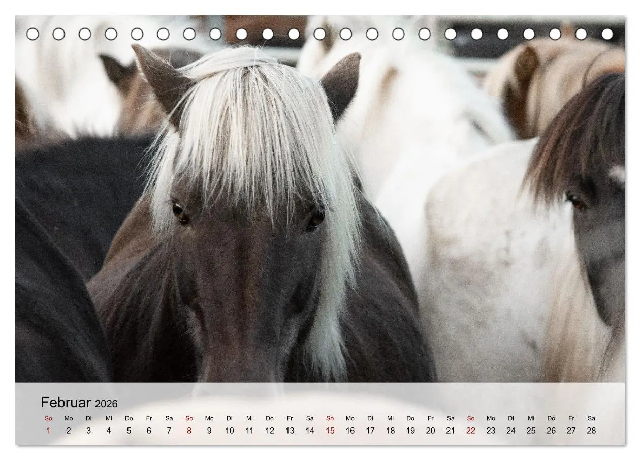 Bild: 9783457666227 | Pferde 2026 Kraft und Anmut (Tischkalender 2026 DIN A5 quer),...