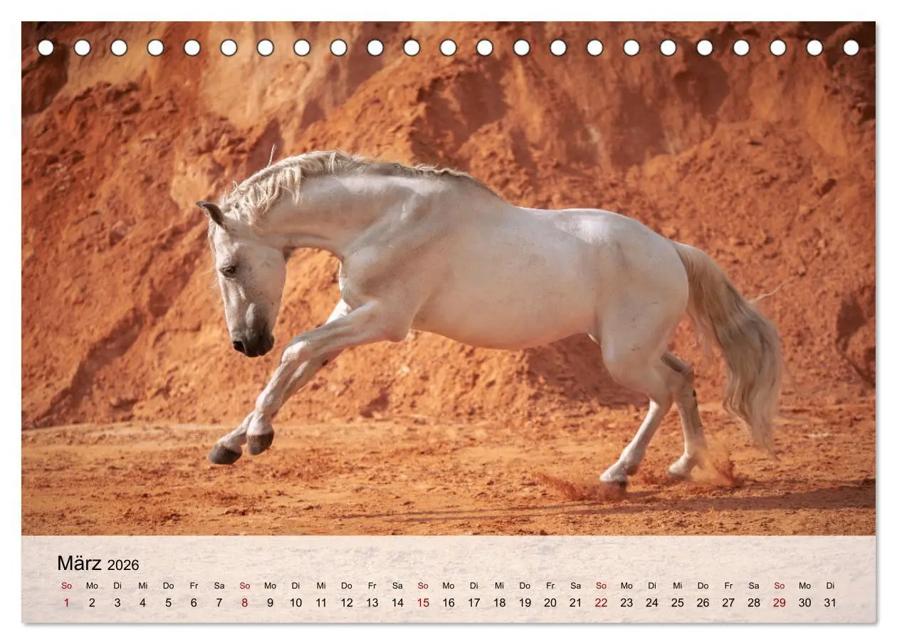 Bild: 9783457666227 | Pferde 2026 Kraft und Anmut (Tischkalender 2026 DIN A5 quer),...