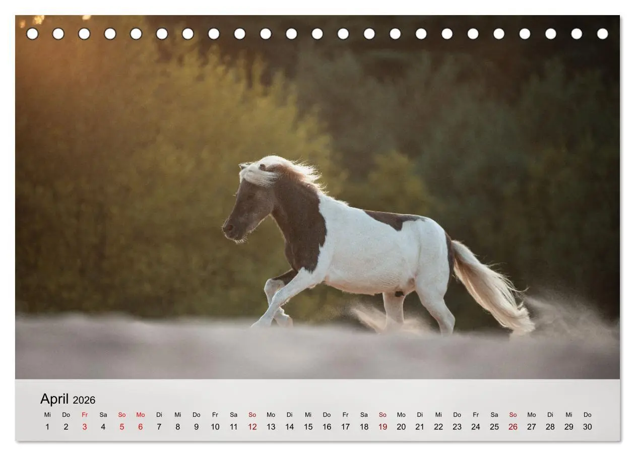 Bild: 9783457666227 | Pferde 2026 Kraft und Anmut (Tischkalender 2026 DIN A5 quer),...