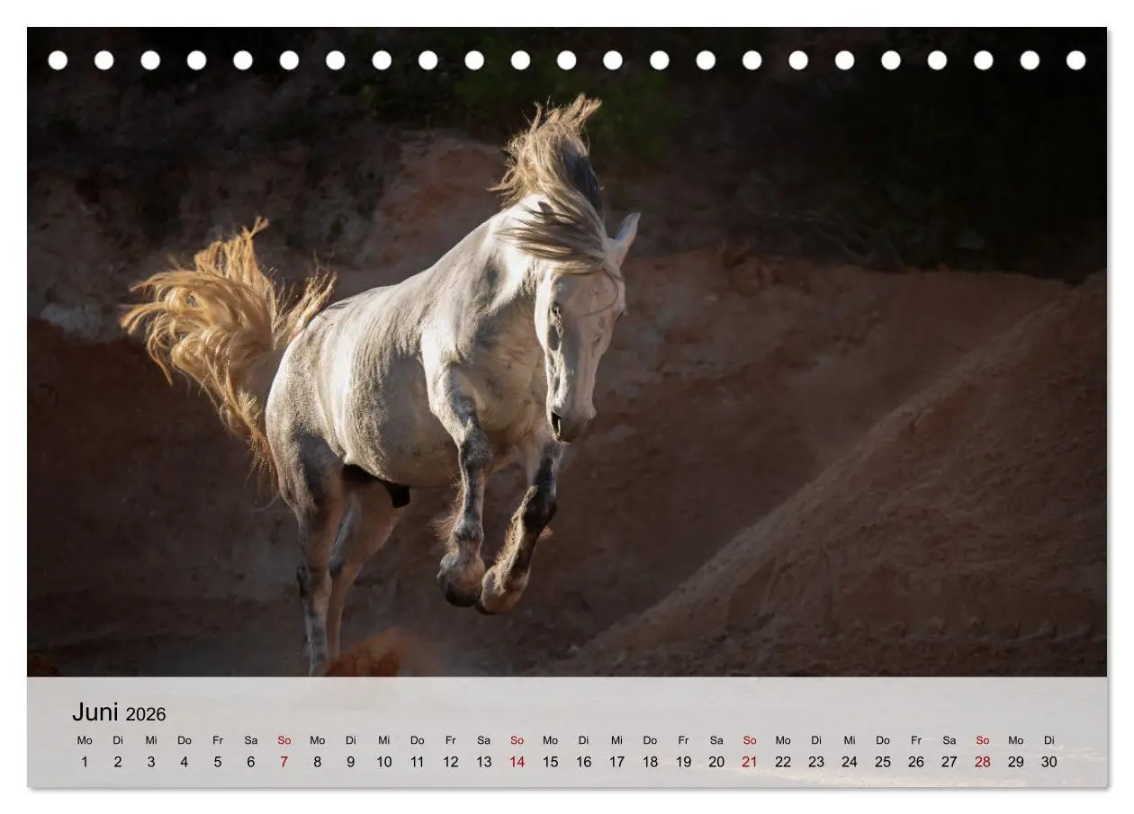 Bild: 9783457666227 | Pferde 2026 Kraft und Anmut (Tischkalender 2026 DIN A5 quer),...