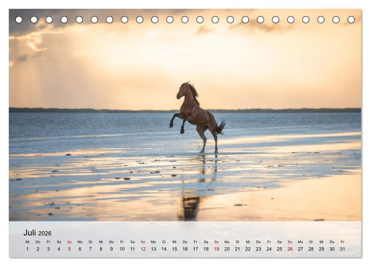 Bild: 9783457666227 | Pferde 2026 Kraft und Anmut (Tischkalender 2026 DIN A5 quer),...