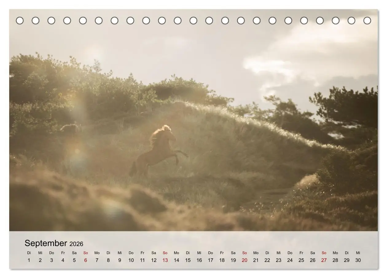 Bild: 9783457666227 | Pferde 2026 Kraft und Anmut (Tischkalender 2026 DIN A5 quer),...