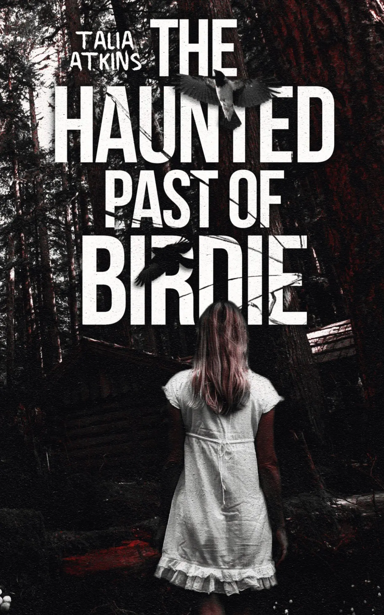 Cover: 9781067006327 | The Haunted Past of Birdie | Talia Atkins | Taschenbuch | Englisch