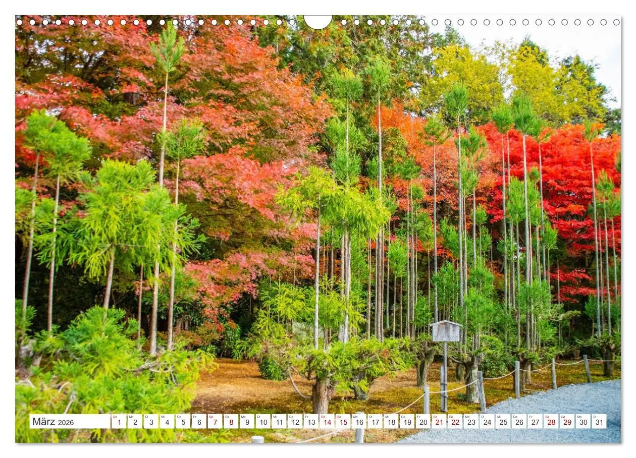 Bild: 9783457406427 | Herbst in Japan (Wandkalender 2026 DIN A3 quer), CALVENDO...