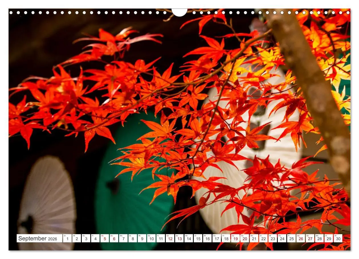 Bild: 9783457406427 | Herbst in Japan (Wandkalender 2026 DIN A3 quer), CALVENDO...