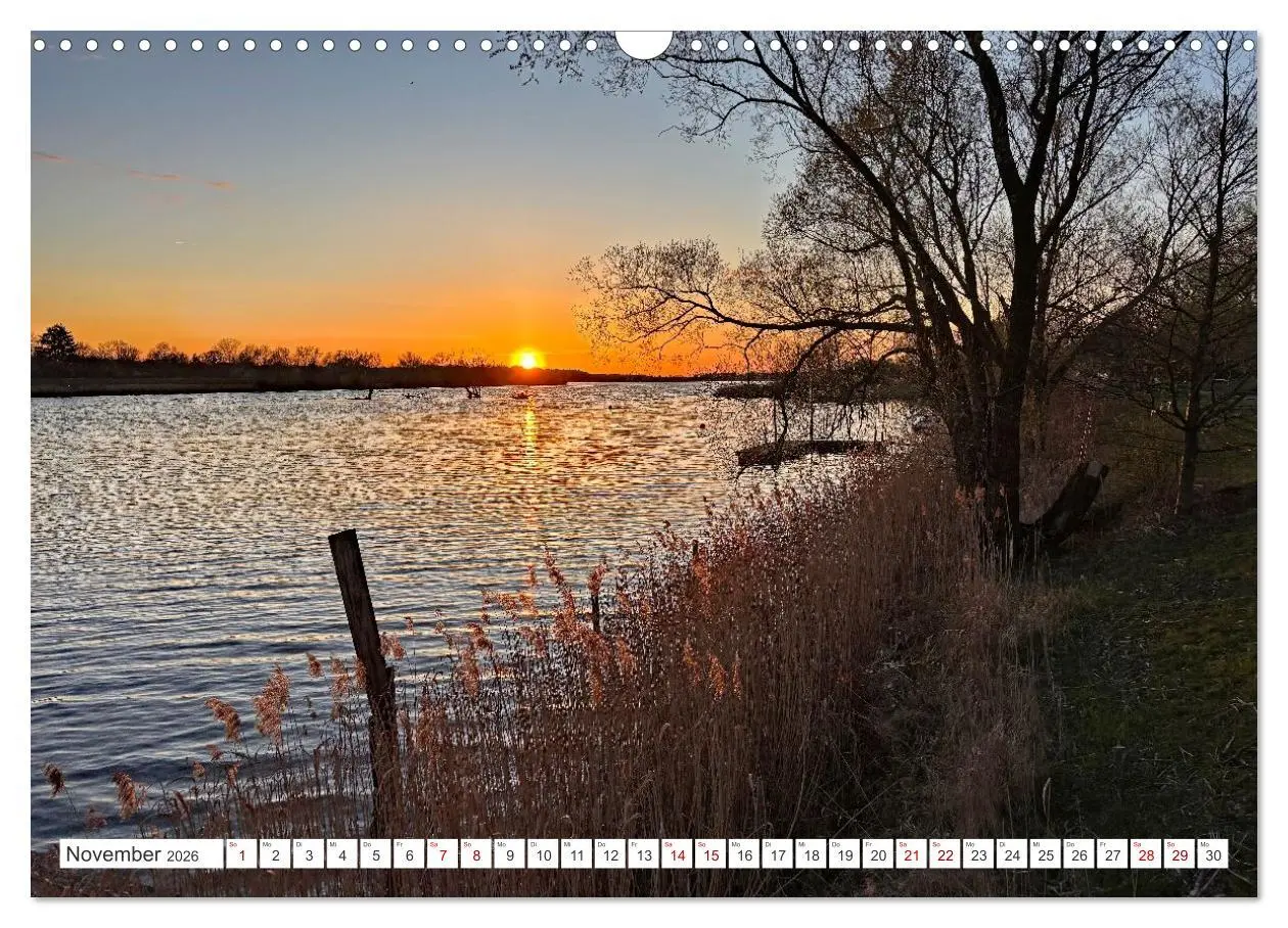Bild: 9783457646427 | Wildes Wendland (Wandkalender 2026 DIN A3 quer), CALVENDO...