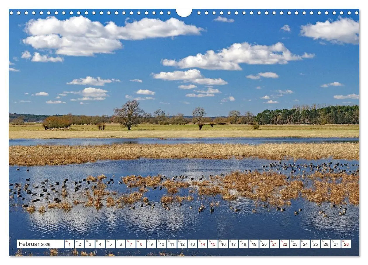 Bild: 9783457646427 | Wildes Wendland (Wandkalender 2026 DIN A3 quer), CALVENDO...
