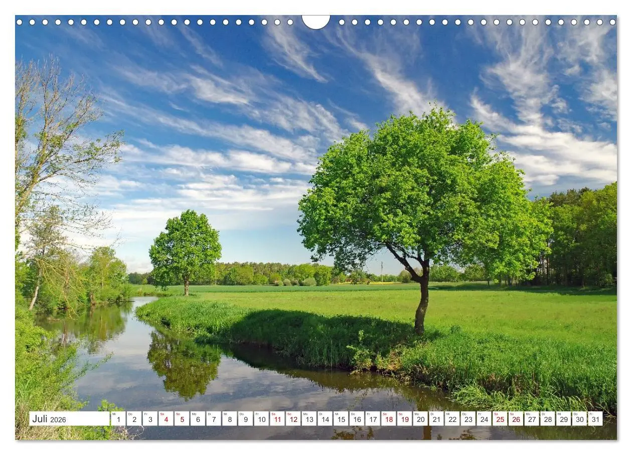 Bild: 9783457646427 | Wildes Wendland (Wandkalender 2026 DIN A3 quer), CALVENDO...