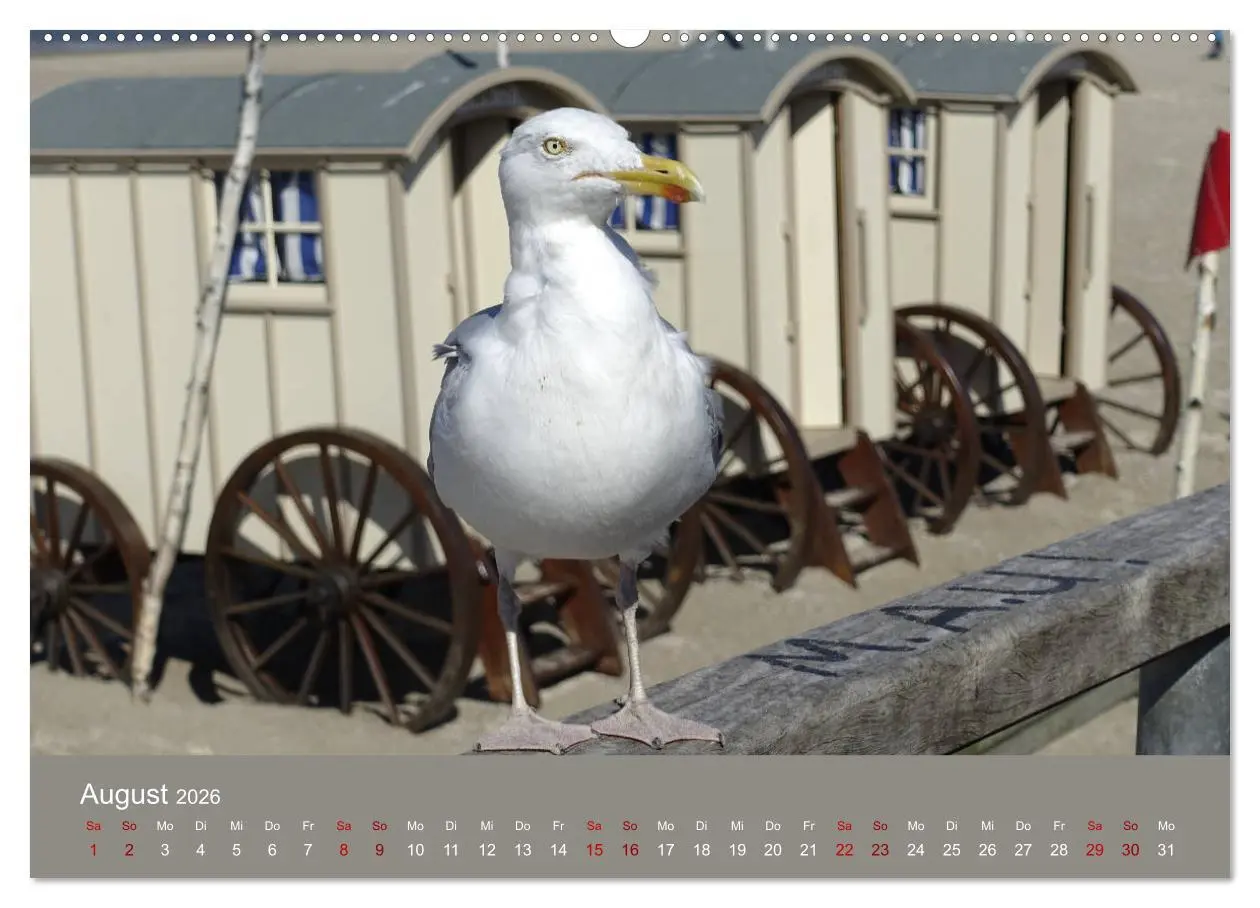 Bild: 9783457886427 | Norderney - Meine Trauminsel (Wandkalender 2026 DIN A2 quer),...
