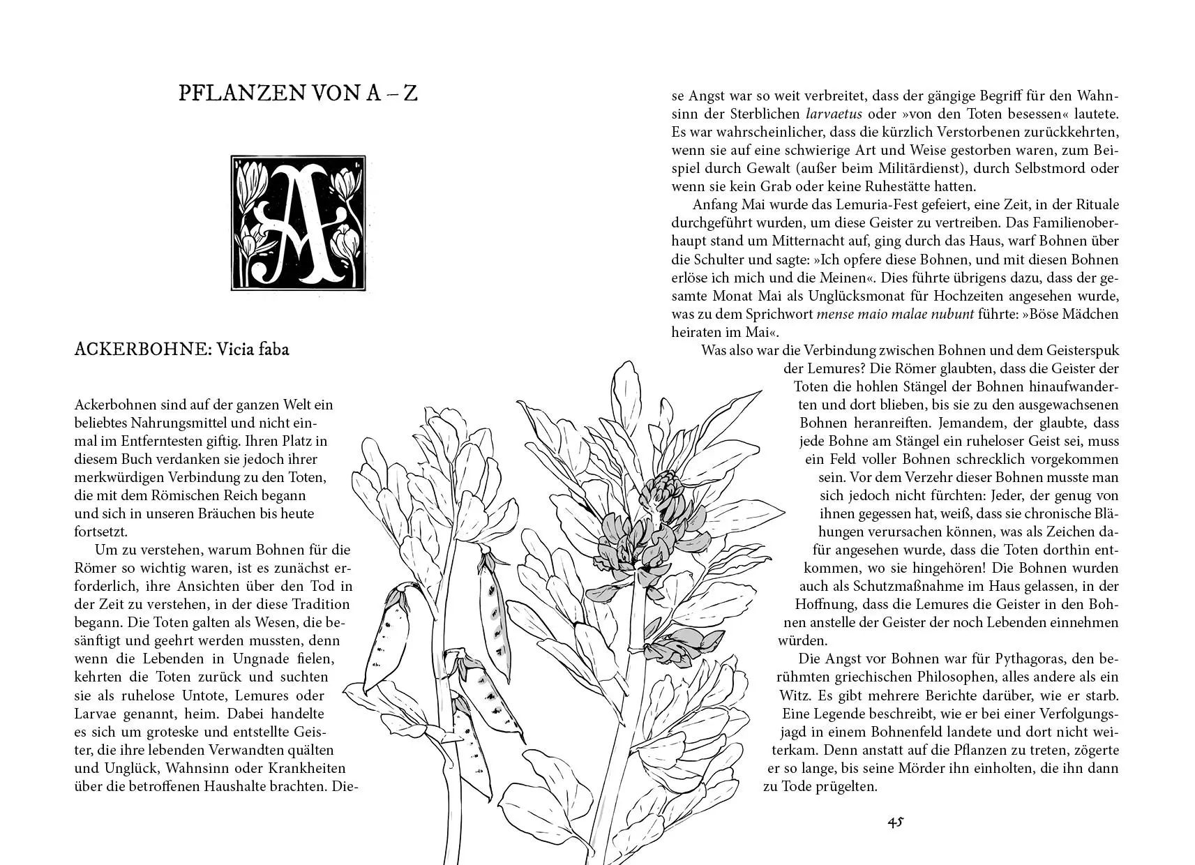 Bild: 9783747406427 | Im Garten der Gifte | Fez Inkwright | Buch | 256 S. | Deutsch | 2024