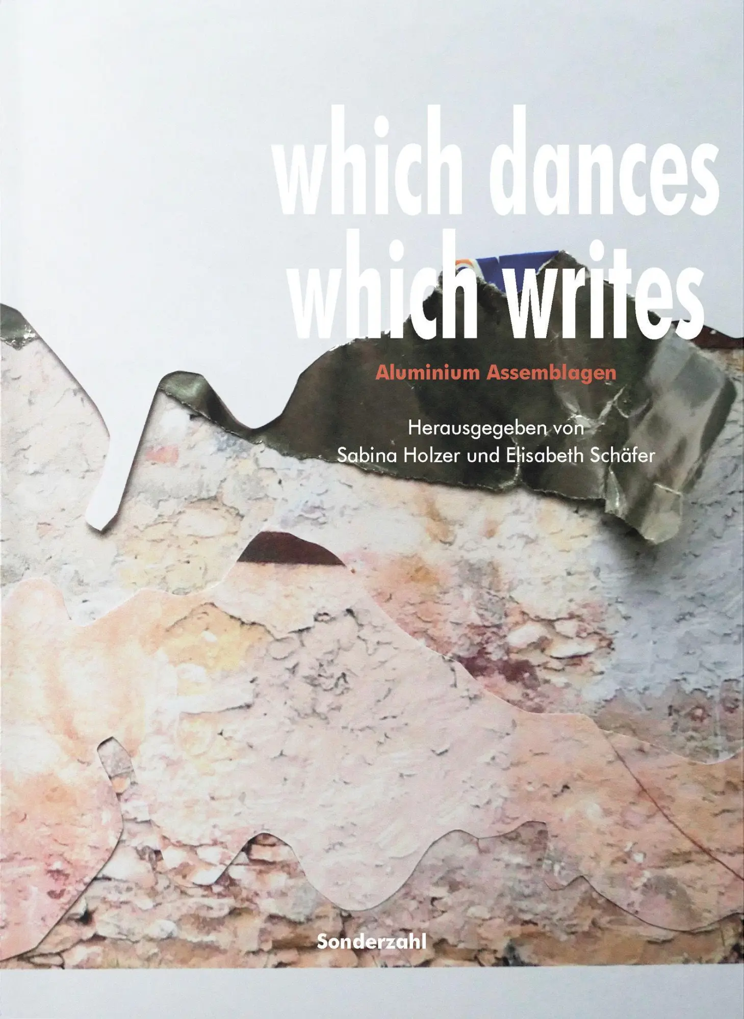 Cover: 9783854496427 | which dances which writes | Aluminium Assemblagen | Taschenbuch | 2023
