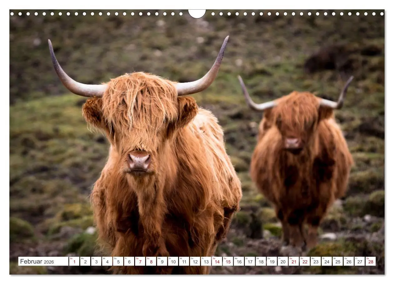 Bild: 9783457626627 | Isle of Skye - Eine Reise durch den Nordwesten Schottlands...