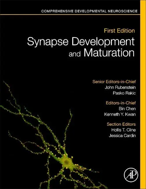 Cover: 9780128236727 | Synapse Development and Maturation | Pasko Rakic (u. a.) | Buch | 2020