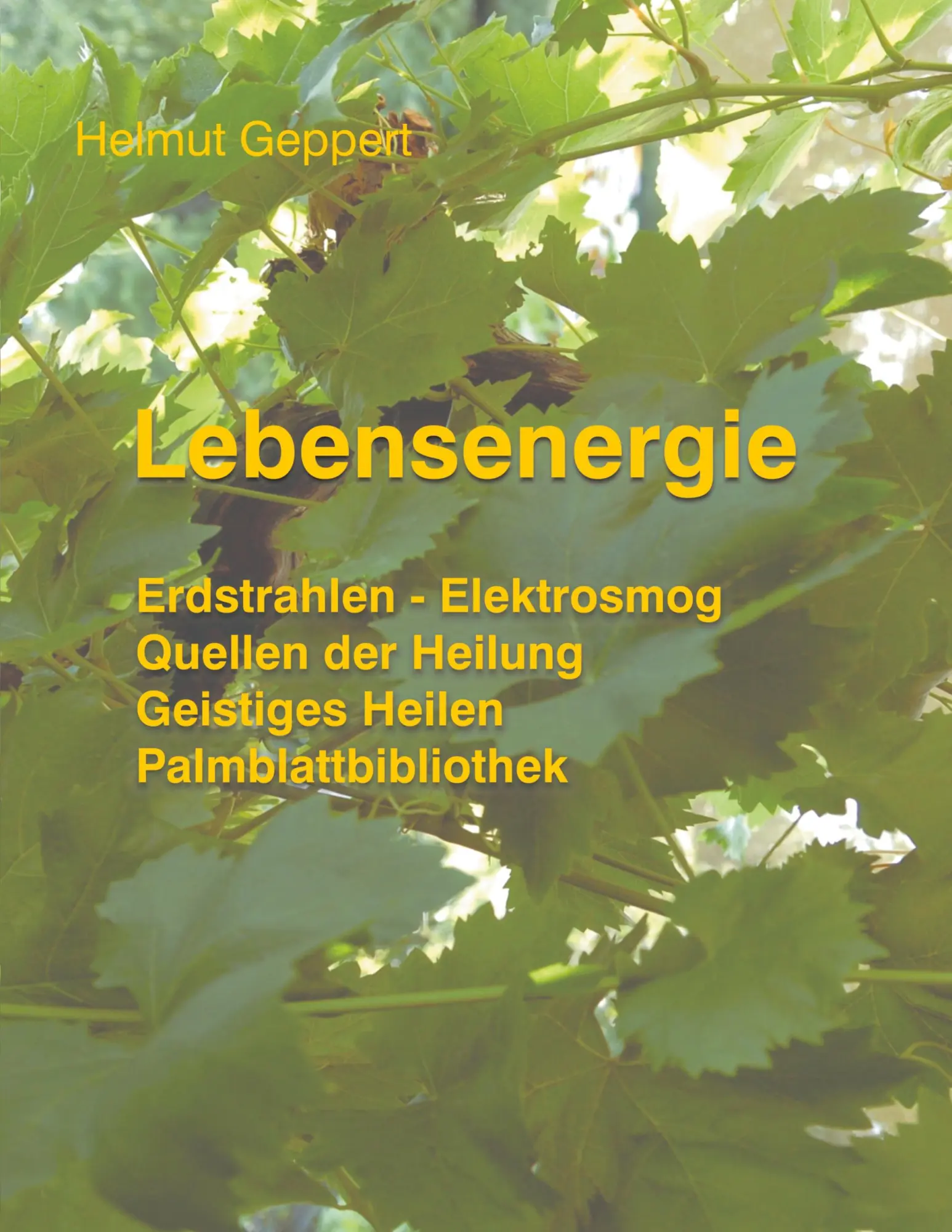 Cover: 9783833436727 | Lebensenergie | Helmut Geppert | Taschenbuch | 184 S. | Deutsch | 2005