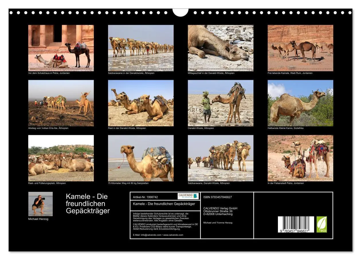 Bild: 9783457846827 | Kamele - Die freundlichen Gepäckträger (Wandkalender 2026 DIN A3...