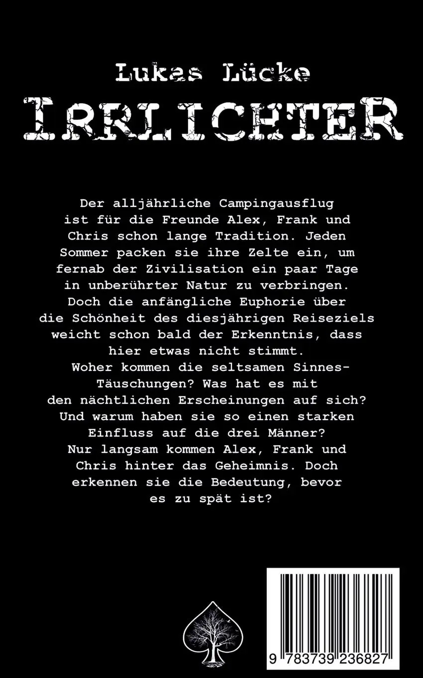 Rückseite: 9783739236827 | Irrlichter | Lukas Lücke | Taschenbuch | 200 S. | Deutsch | 2016