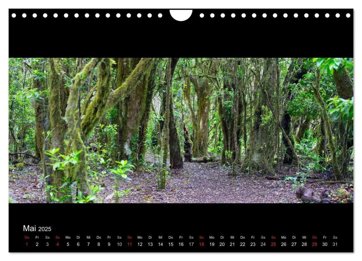 Bild: 9783435676927 | La Gomera - Kanarisches Naturparadies (Wandkalender 2025 DIN A4...