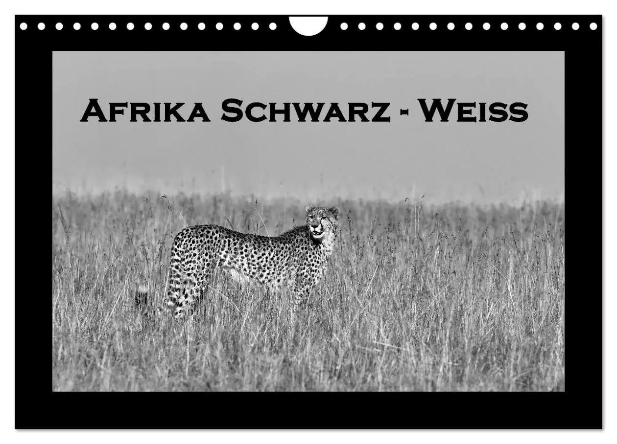 Cover: 9783516166927 | Afrika Schwarz - Weiss (Wandkalender 2026 DIN A4 quer), CALVENDO...