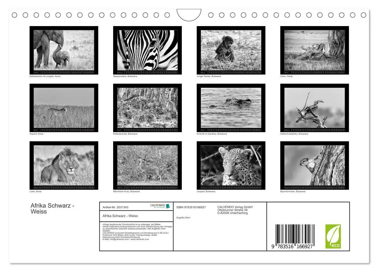 Bild: 9783516166927 | Afrika Schwarz - Weiss (Wandkalender 2026 DIN A4 quer), CALVENDO...