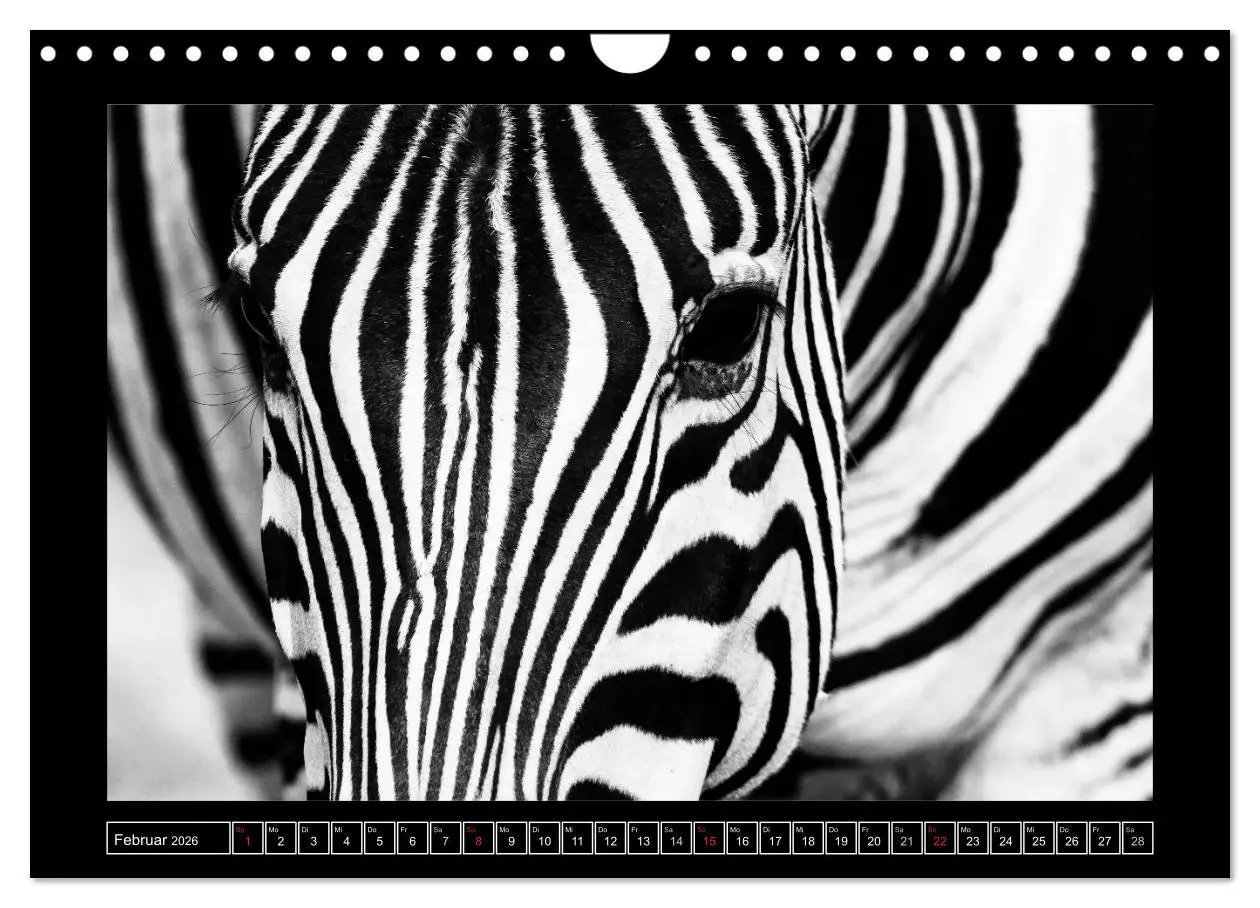 Bild: 9783516166927 | Afrika Schwarz - Weiss (Wandkalender 2026 DIN A4 quer), CALVENDO...