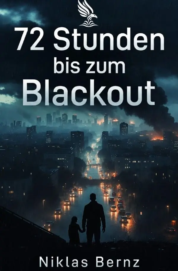 Cover: 9783565436927 | 72 Stunden bis zum Blackout | DE | Niklas Bernz | Taschenbuch | 284 S.