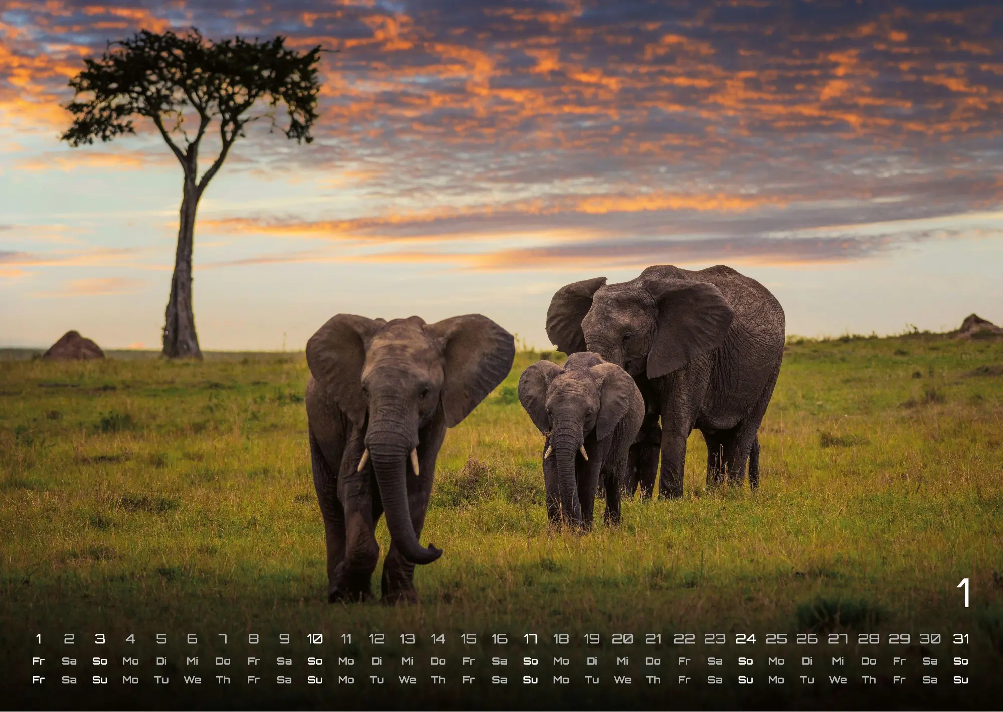Bild: 9783986736927 | Afrikas Tierwelt - Der Tierkalender - 2027 - Kalender DIN A3 | de