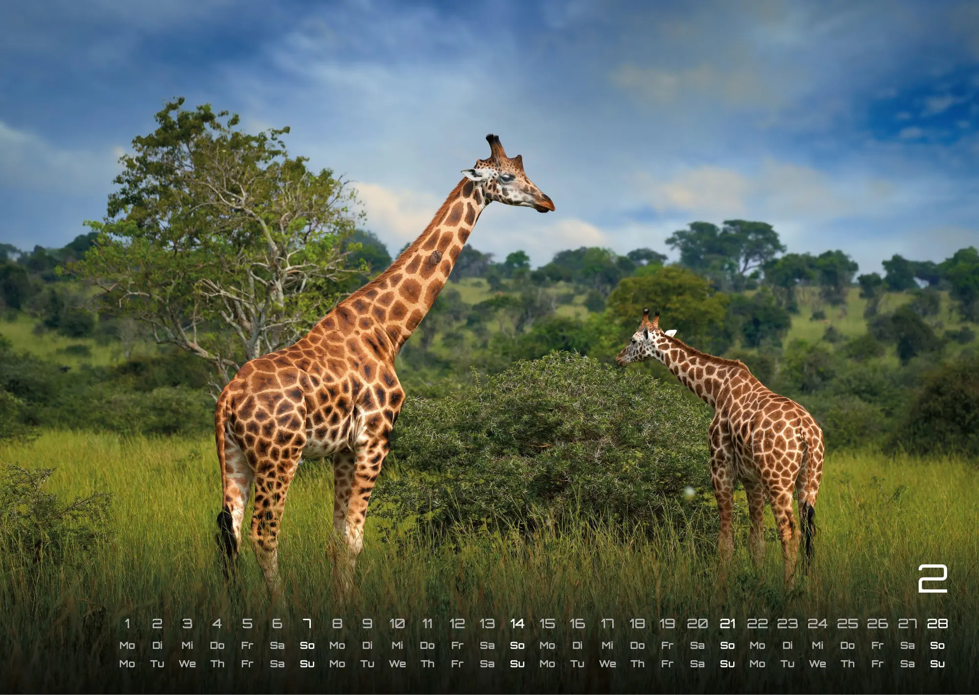 Bild: 9783986736927 | Afrikas Tierwelt - Der Tierkalender - 2027 - Kalender DIN A3 | de