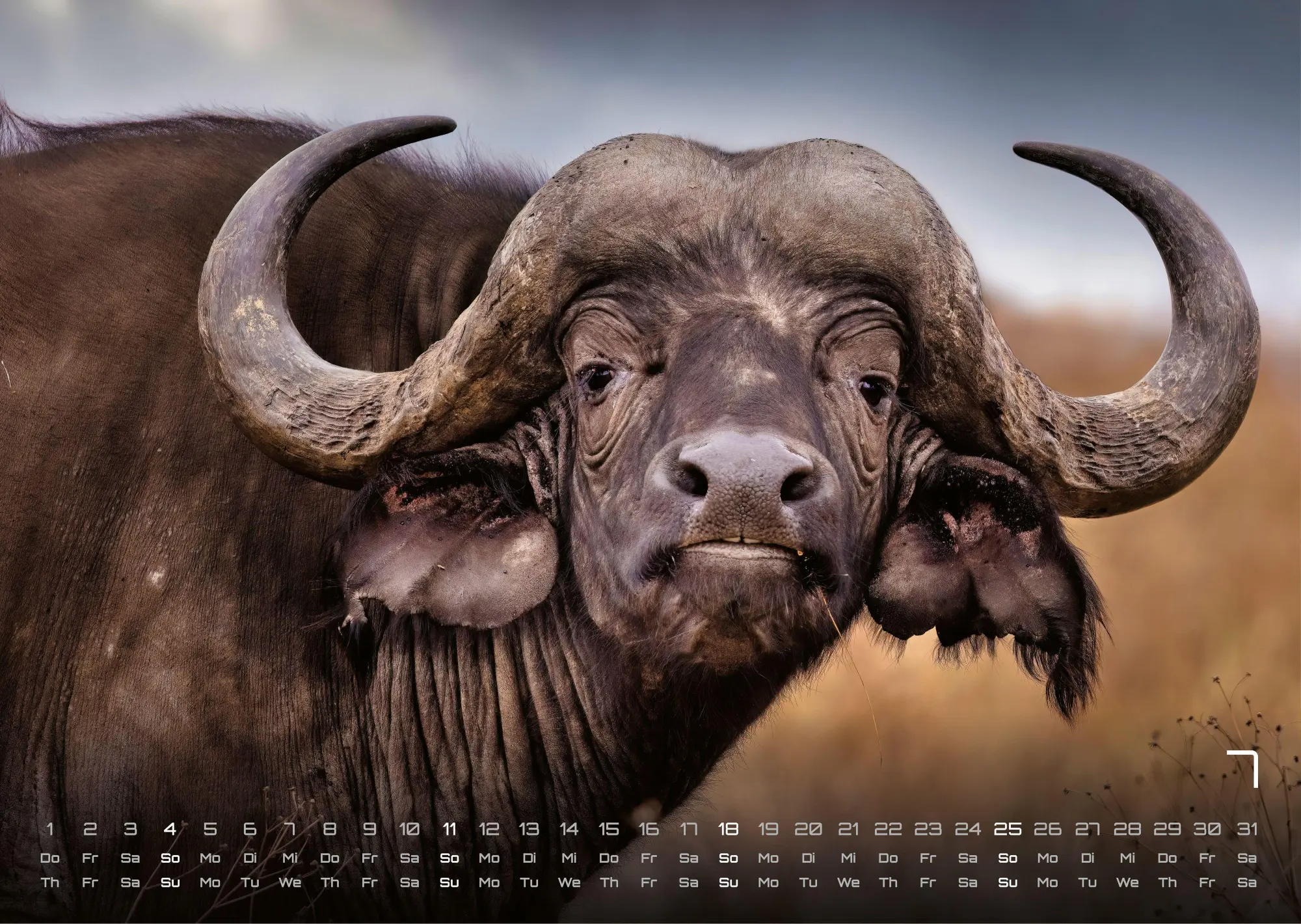 Bild: 9783986736927 | Afrikas Tierwelt - Der Tierkalender - 2027 - Kalender DIN A3 | de