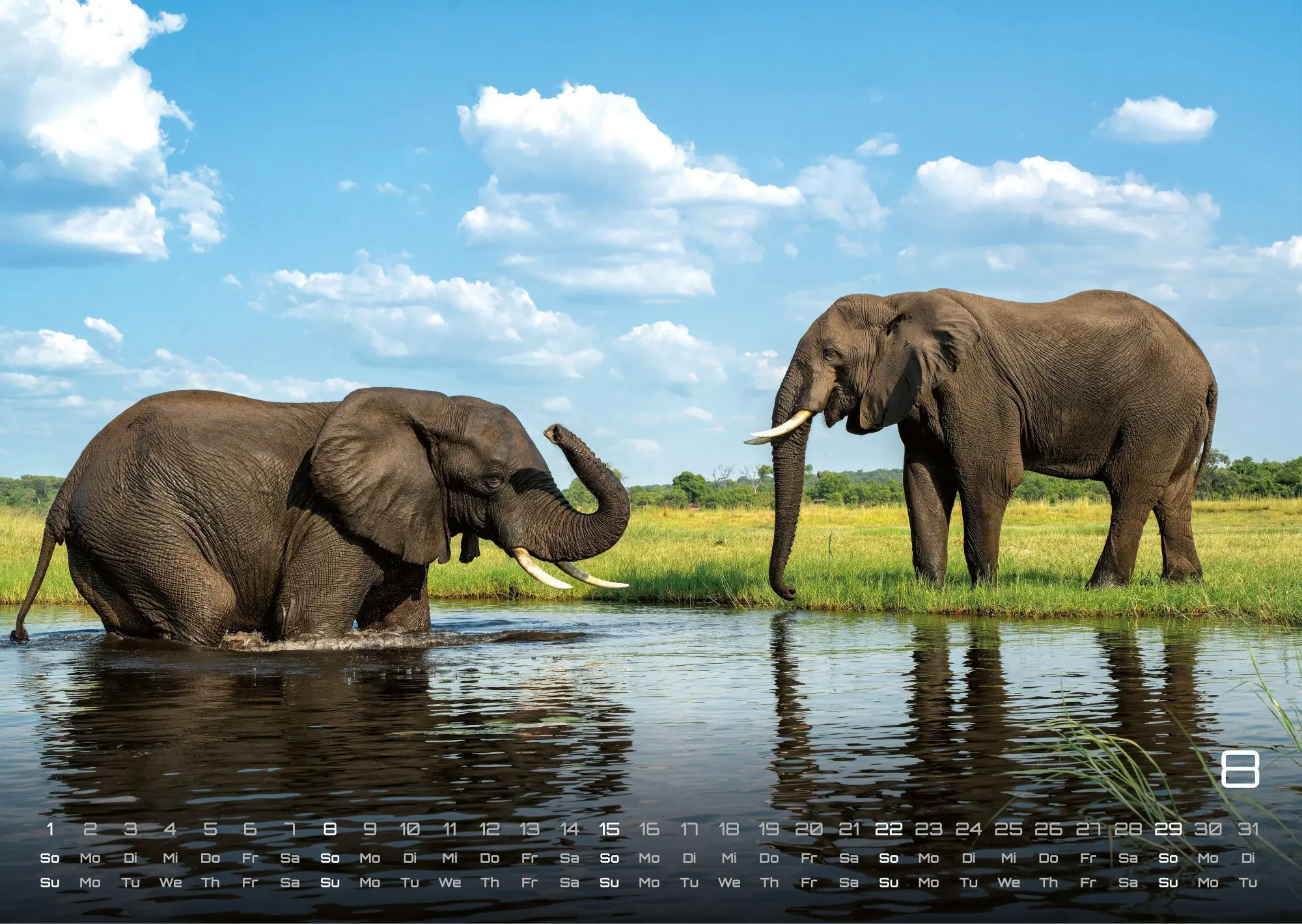 Bild: 9783986736927 | Afrikas Tierwelt - Der Tierkalender - 2027 - Kalender DIN A3 | de